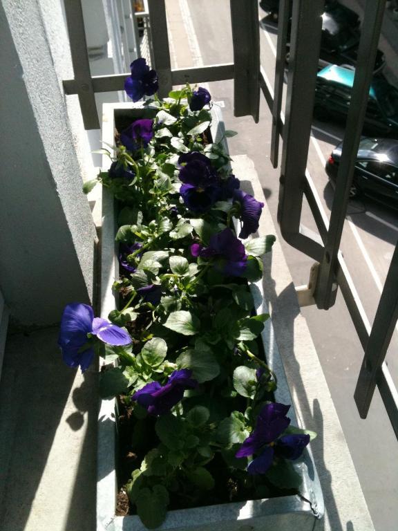 The Pea Blossom B&B Copenhaga Exterior foto